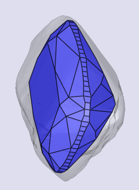 sarine