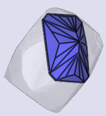 sarine
