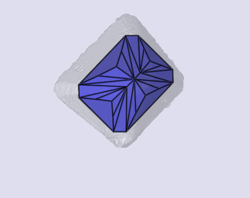 sarine
