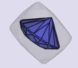 sarine