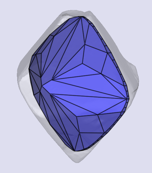 sarine