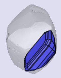 sarine