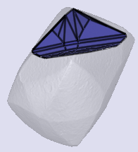 sarine
