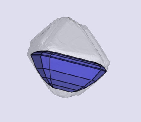 sarine