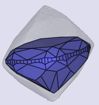 sarine