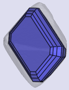 sarine