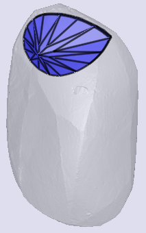 sarine