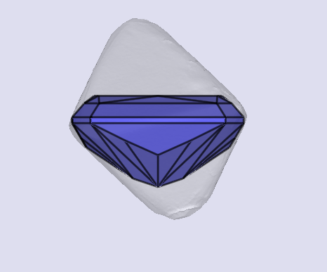 sarine