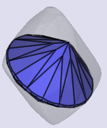 sarine