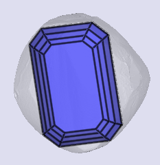 sarine