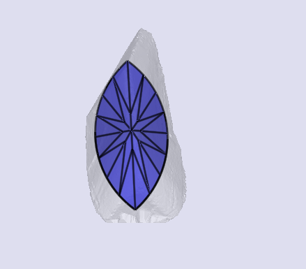 sarine