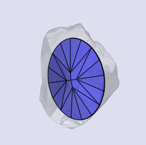 sarine