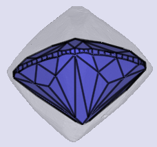 sarine