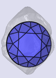 sarine