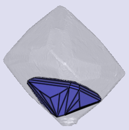 sarine