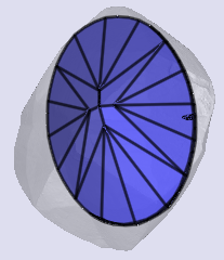sarine