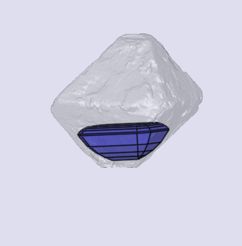 sarine