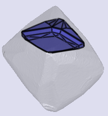 sarine