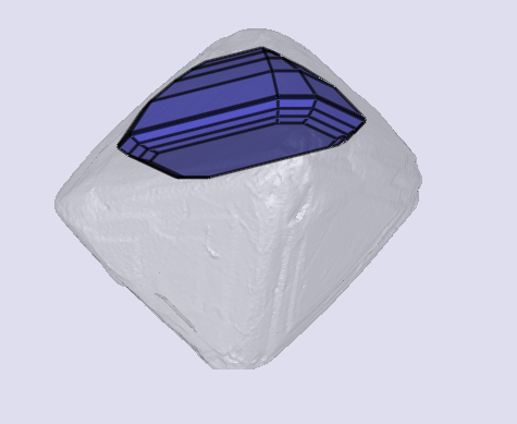 sarine