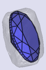 sarine