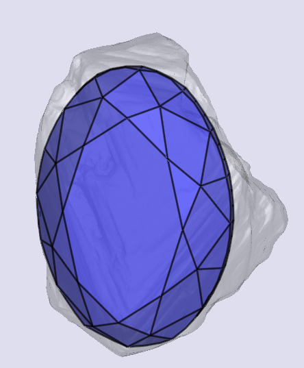 sarine