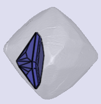 sarine