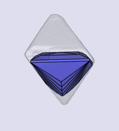 sarine