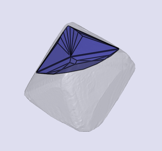 sarine