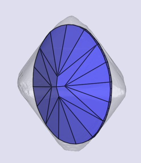 sarine