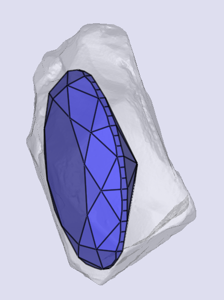 sarine