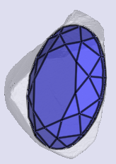 sarine