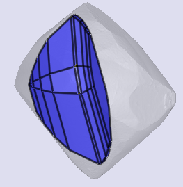 sarine