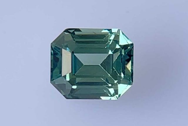 primary zoom in