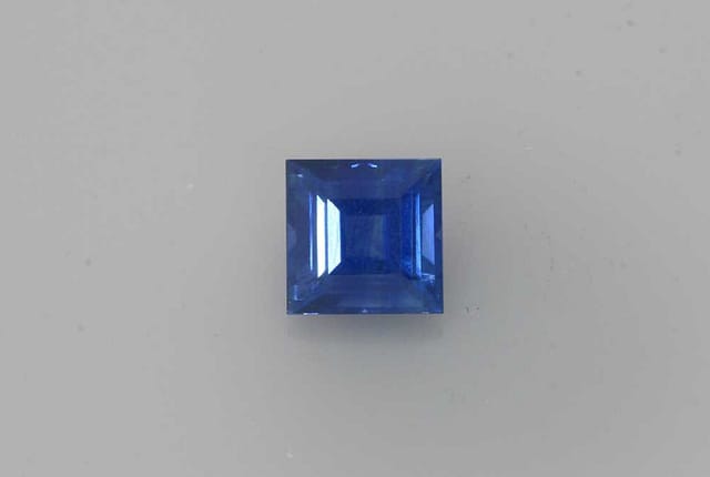 primary zoom in
