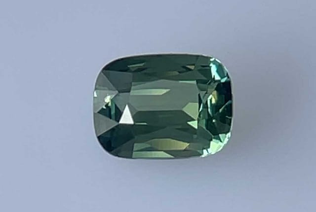 primary zoom in