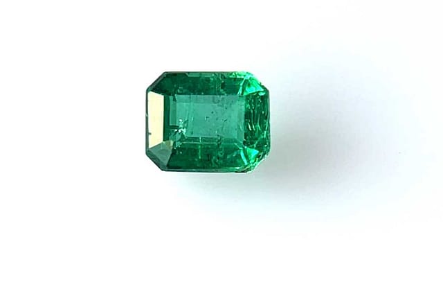 primary zoom in