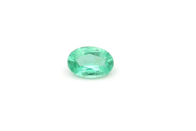 primary zoom in