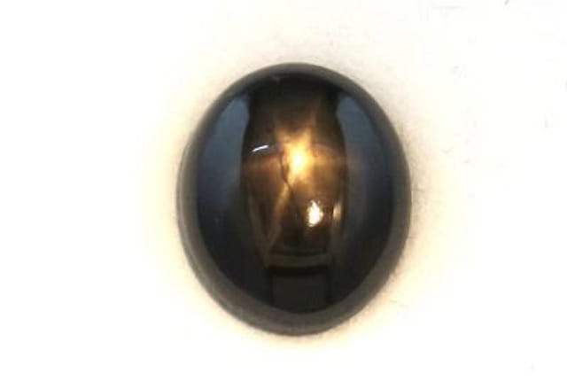 primary zoom in