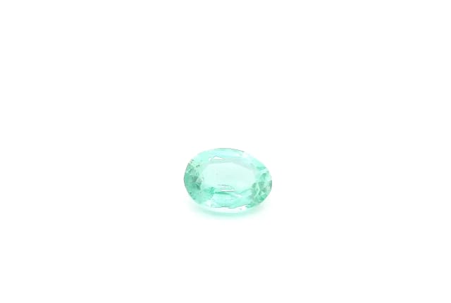 primary zoom in