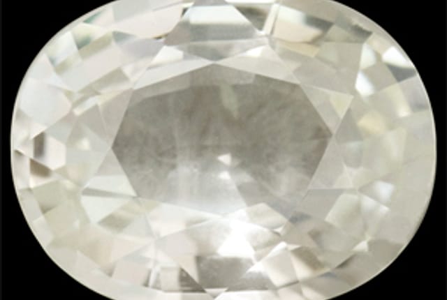primary zoom in