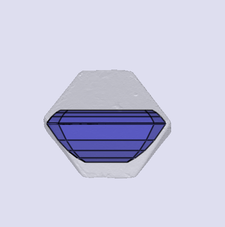 sarine