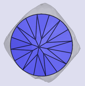 sarine