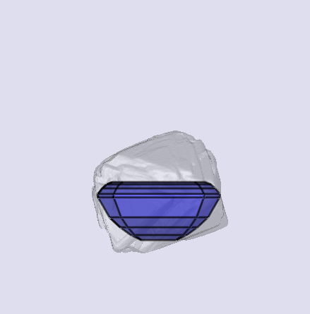 sarine