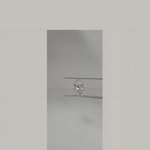 primary