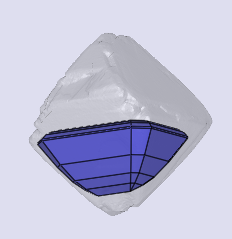 sarine