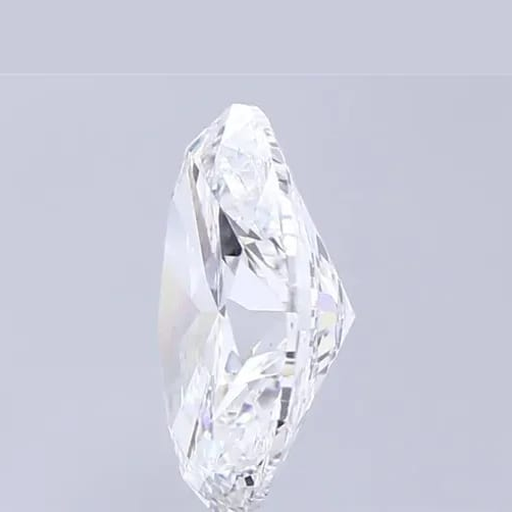 primary