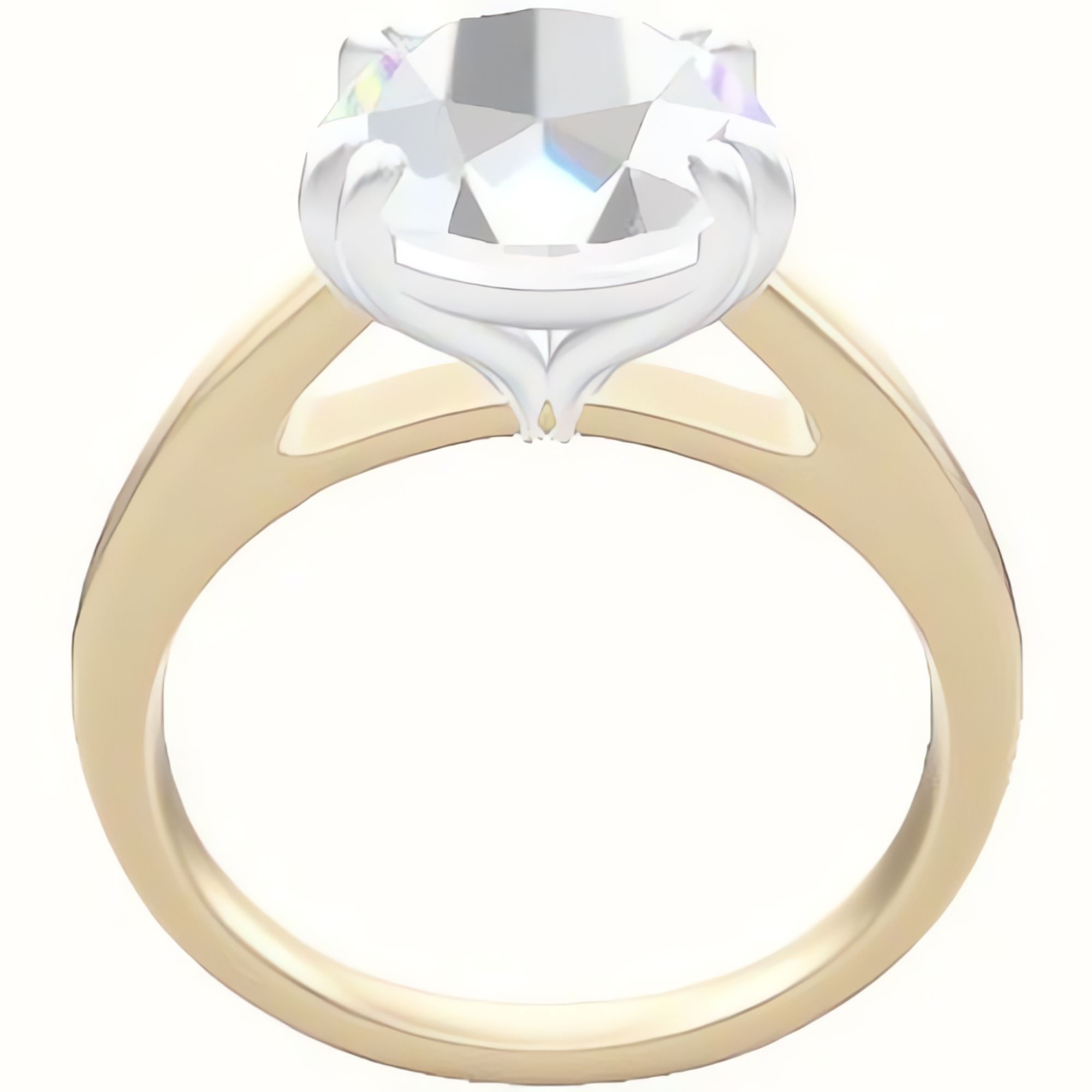 Cathedral Engagement Ring With Double Prongs Head