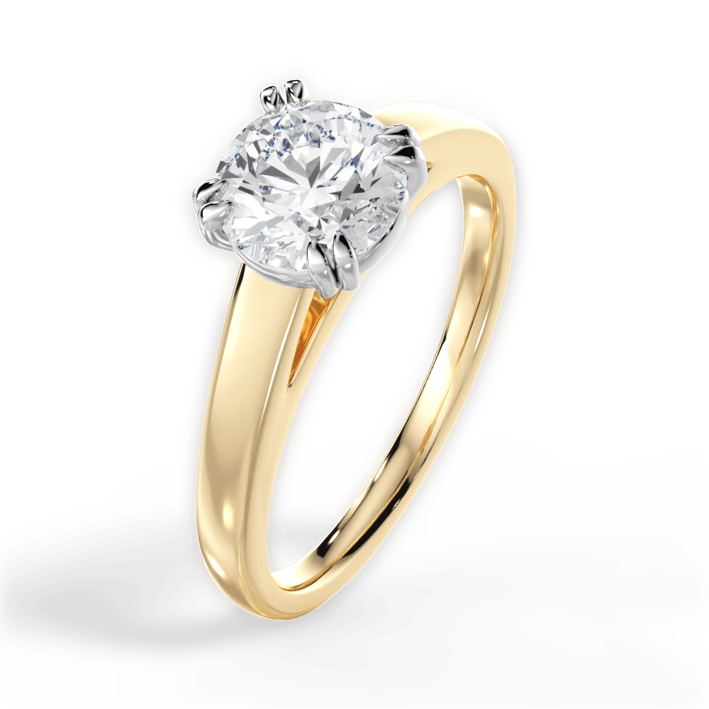 14kt Yellow Gold/18kt Yellow Gold/round/perspective