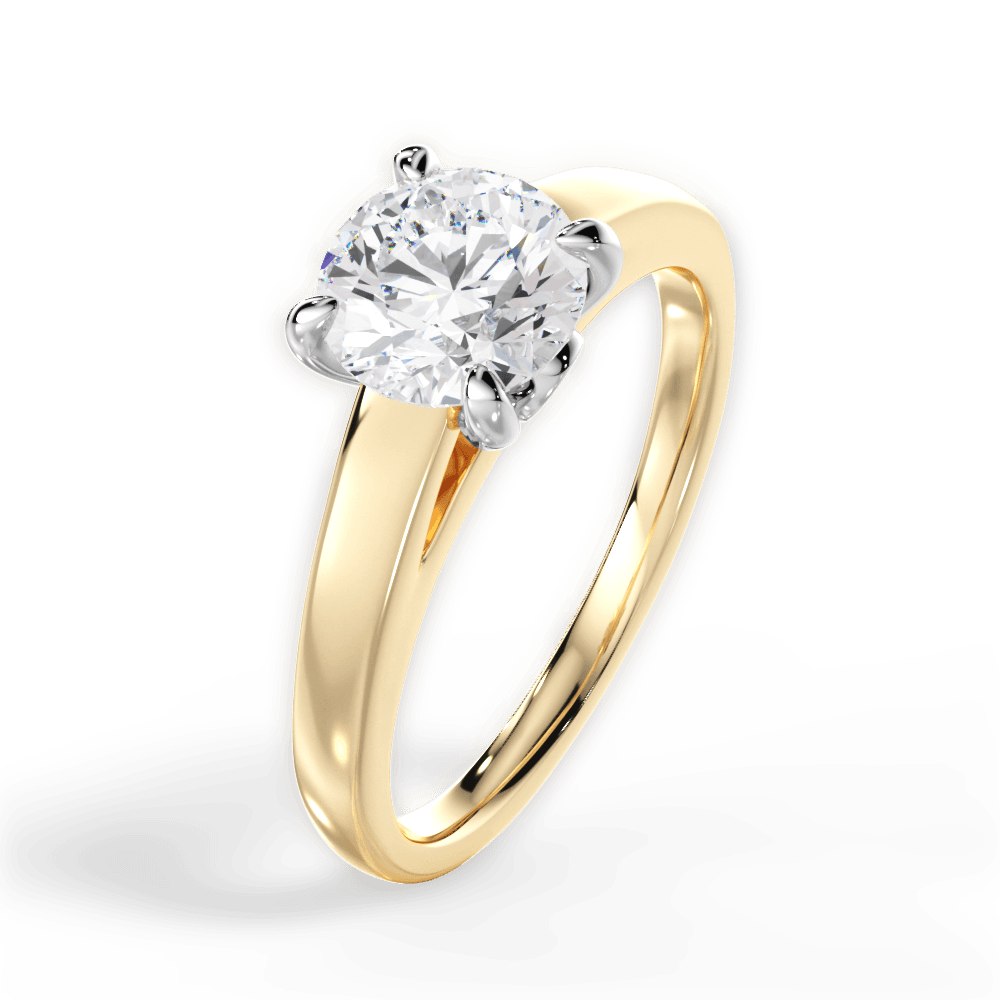 14kt Yellow Gold/18kt Yellow Gold/round/perspective