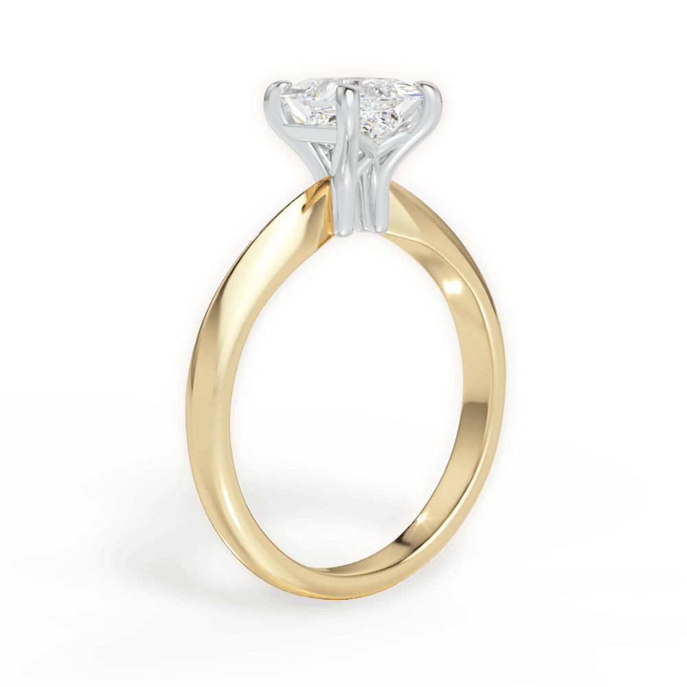 14kt Yellow Gold/18kt Yellow Gold/princess/front